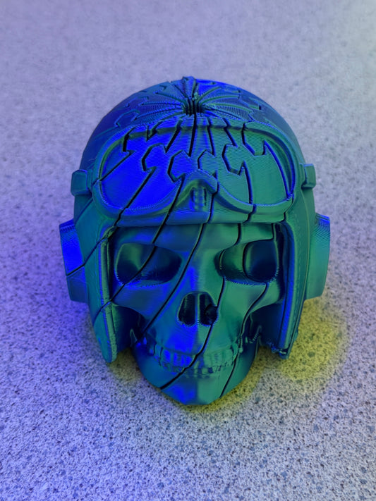 Aviator Twist Skull Fidget