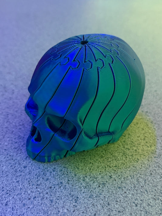 Skull Twist Fidget